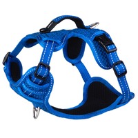 Rogz Explore Durable Nylon Dog Safety Harness Blue - 4 Sizes image