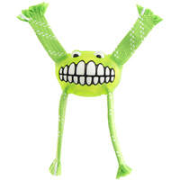 Rogz Flossy Grinz Oral Care Dog Squeaker Toy Lime - 4 Sizes image