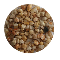 ShowMaster Natural White Fish Aquarium Gravel - 2 Sizes image