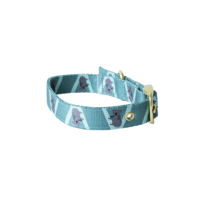 Anipal Kylo The Koala Eco-Friendly Dog Collar - 3 Sizes image