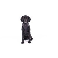 Mog & Bone Neoprene Durable Dog Harness Black Metallic Cross Print - 4 Sizes image