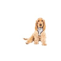 Mog & Bone Neoprene Durable Dog Harness Grey Check Print - 4 Sizes image