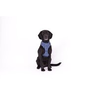 Mog & Bone Neoprene Durable Dog Harness Navy Check Print - 4 Sizes image