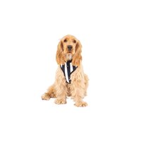Mog & Bone Neoprene Durable Dog Harness Navy Hamptons Stripe Print - 4 Sizes image