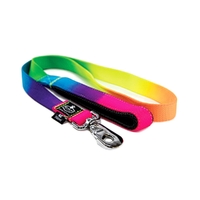 Prestige Pet Soft Padded Nylon Dog Leash Rainbow 1" - 2 Sizes image
