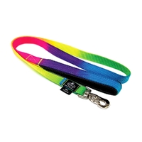 Prestige Pet Soft Padded Nylon Dog Leash Rainbow 3/4" - 2 Sizes image