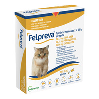Felpreva Spot On Flea & Ticks Treatment for Medium Cats 2.5-5kg - 2 Sizes image