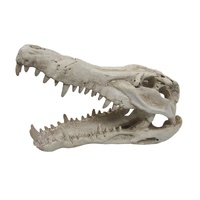 URS Crocodile Skull Ornament for Terrariums Vivariums & Aquariums - 2 Sizes image