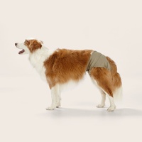 Snooza Washable Dog Nappy Pant Twin Pack for Female Dogs Steel - 3 Sizes image