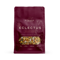 Forage Gourmet Seed Co Eclectus Hand-Made Natural Bird Seed Mix - 4 Sizes image