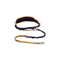 Rogz AirTech Sport Reflective Belt & Lead for Dogs Burnt Ochre - 2 Sizes image