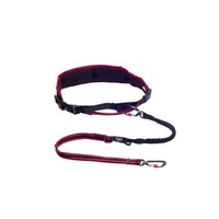 Rogz AirTech Sport Reflective Belt & Lead for Dogs Rock Red - 2 Sizes image