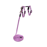 Rogz AlleyCat Control Reflective Harness & Lead for Cats Lilac - 2 Sizes image