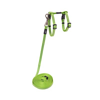 Rogz AlleyCat Control Reflective Harness & Lead for Cats Lime - 2 Sizes image