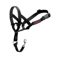 Halti Headcollar with Padded Reflective Noseband for Dogs Black - 6 Sizes image