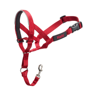 Halti Headcollar with Padded Reflective Noseband for Dogs Red - 4 Sizes image