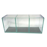 PetWorx Glass Fighter Aquarium Fish Tank 3-Bay 36 x 12 x 15cm image