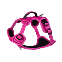 Rogz Utility Explore Adjustable Durable Dog Harness Pink Small image