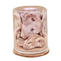 Freezy Paws Freeze Dried Pig Snout Natural Pet Dog Treats 6 Pack image