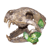 Urs Skull w/ Big Canines Reptile Enclosure Accessory Large image