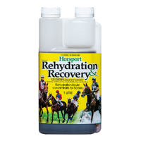 IAH Horsport Rehydration & Recovery for Horses 1L image