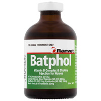 Ranvet Batphol Horses Vitamin B Complex & Choline 50ml image