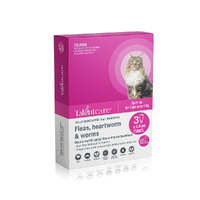Talentcare Spot-On Flea & Worming Treatment for Cats Over 4kg 3 Pack image