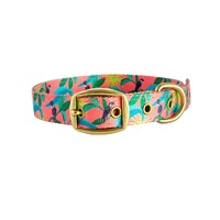 Anipal Clancy the Black Cockatoo Durable Pet Dog Collar Medium image
