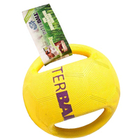 Interball Interactive Dog Play Durable Toy With Swing Tag  image
