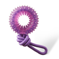 Outward Hound 2-in-1 Dental Chew Wheel Interactive Dog Chew Toy Purple image
