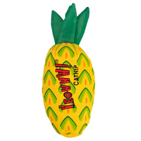 Yeowww Pineapple Catnip Filled Durable Cotton Twill Pet Cat Toy image