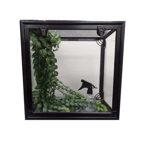 URS Stick Insects Starter Kit Package incl Pee-Wee Terrarium