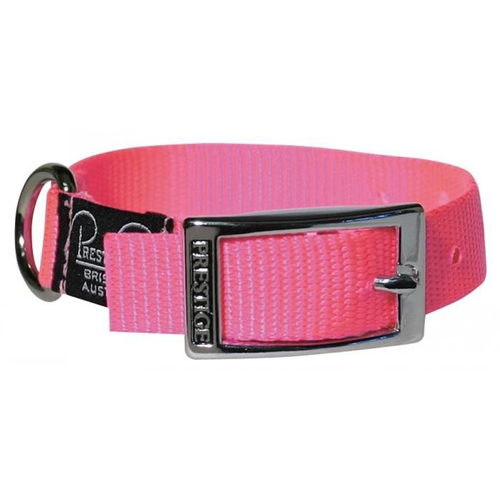 Prestige Pet Single Layer Nylon Adjustable Dog Collar Hot Pink 3/4 Inch x 30cm