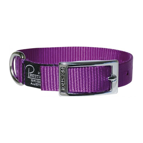 Prestige Pet Single Layer Nylon Adjustable Dog Collar Purple 3/4 Inch x 30cm
