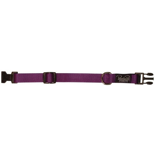 Prestige Pet 3/4 Inch Adjustable Nylon Dog Collar Purple 23-33cm