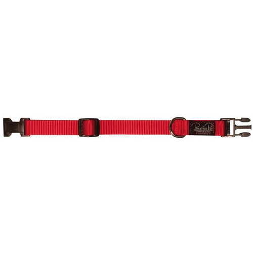 Prestige Pet 3/4 Inch Adjustable Nylon Dog Collar Red 23-33cm