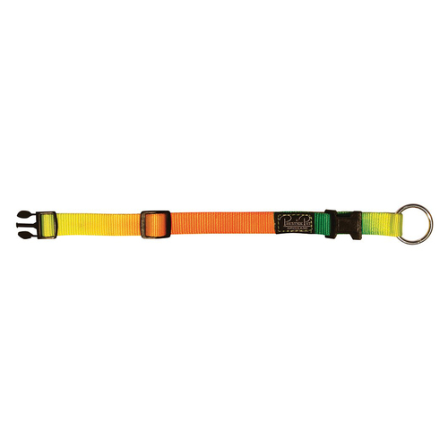 Prestige Pet 3/4" Adjustable Nylon Dog Collar Rainbow 9-13" 23-33cm