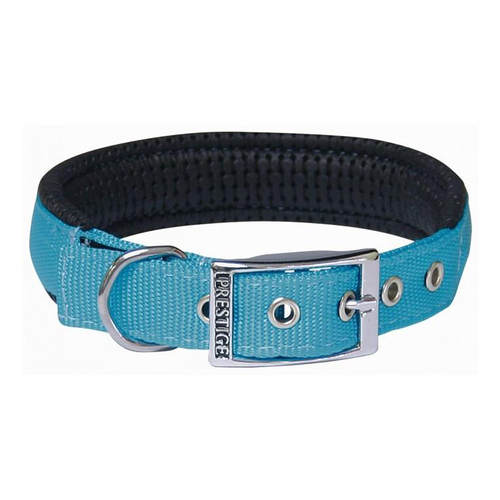 Prestige Pet Soft Padded Adjustable Dog Collar Turquoise 1 Inch x 51cm