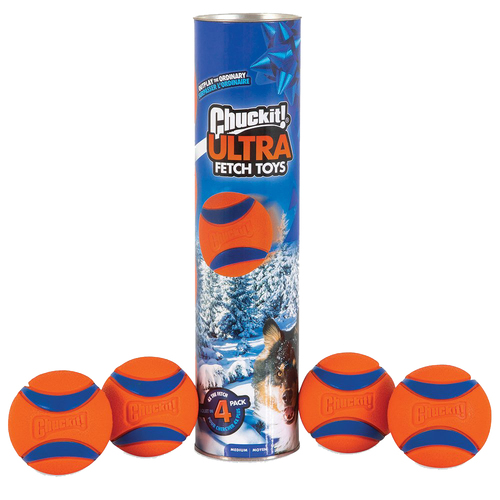 Chuckit Canister Ultra Ball Interactive Durable Pet Dog Toy Medium