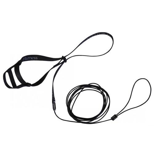 The Aviator Bird Safety Harness & Leash w/ DVD Black XS