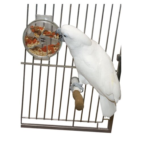 Featherland Paradise Paradise Foraging Wheel Bird Toy 17.5 x 15cm