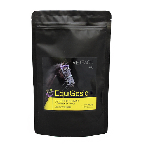 Hi Form Equigesic Plus Horses Natural Health Supplement 100g 