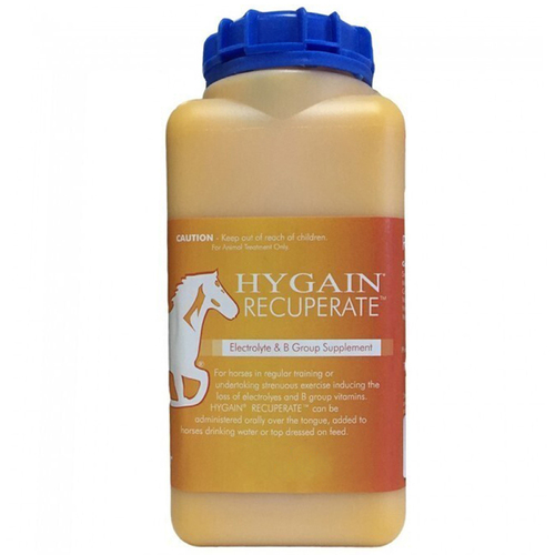 Hygain Recuperate Horses Electrolyte & B Group Supplement 500ml