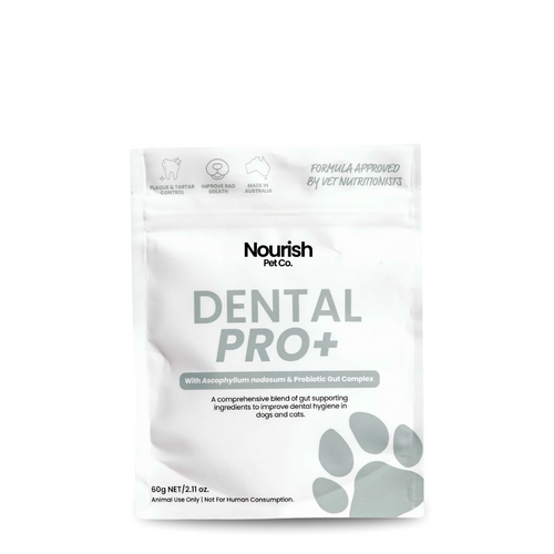 Nourish Pet Co Dental Pro+ Dental Health Care for Dogs & Cats 60g