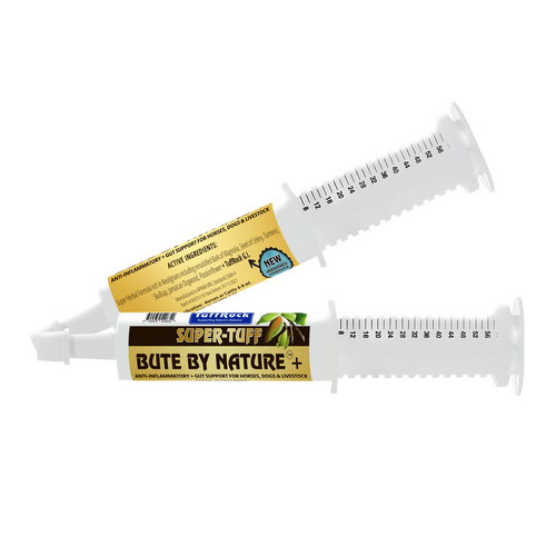 TuffRock Super-Tuff Bute by Nature Anti-Inflammatory + Gut Support for Dogs 32g