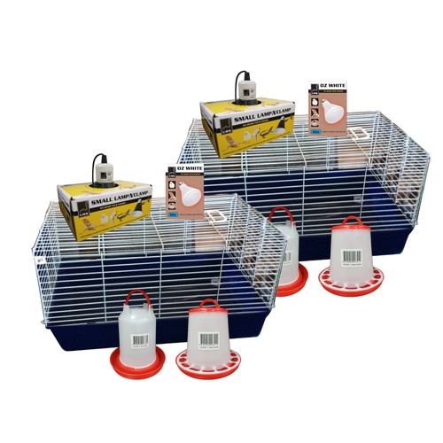 iPetz Chicken Starter Kits for Rearing Young Chickens Qty of 2