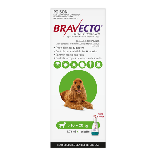 Bravecto Dog 6 Month Spot On Tick & Flea Treatment 10-20kg Medium Green