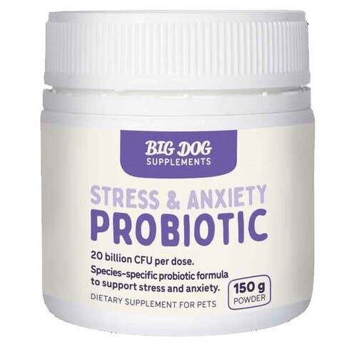 Big Dog Stress & Anxiety Probiotic Dietary Supplement Powder for Dogs 150g