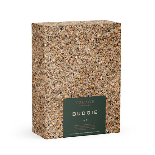 Forage Gourmet Seed Co Everyday Budgie Hand-Made Bird Seed Mix 2kg