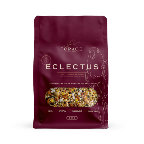 Forage Gourmet Seed Co Eclectus Hand-Made Natural Bird Seed Mix 500g